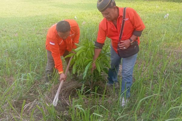 Menanam Harapan di Usia Satu Tahun, Gerakan Rakyat Sumut Hidupkan Kesadaran Lingkungan
